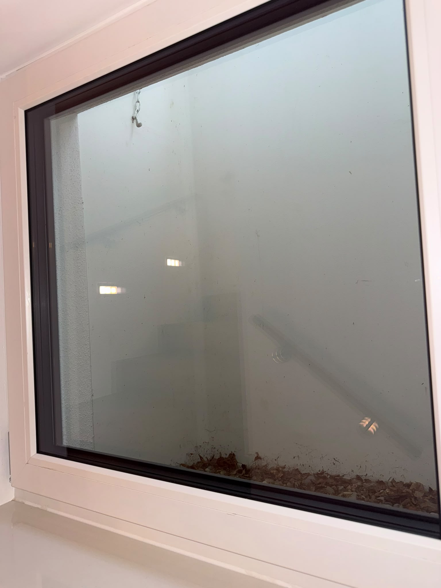Nachher sauberes Kellerfenster